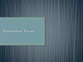 Connective Tissue