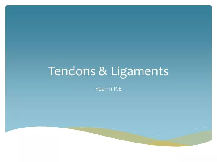 tendons ligaments