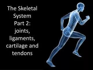 The Skeletal System Part 2: joints, ligaments, cartilage and tendons