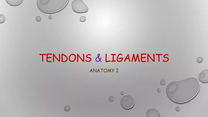 tendons ligaments