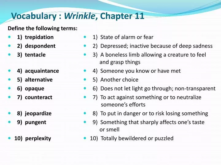 vocabulary wrinkle chapter 11