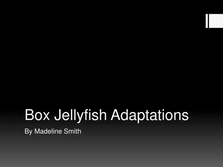 box jellyfish adaptations