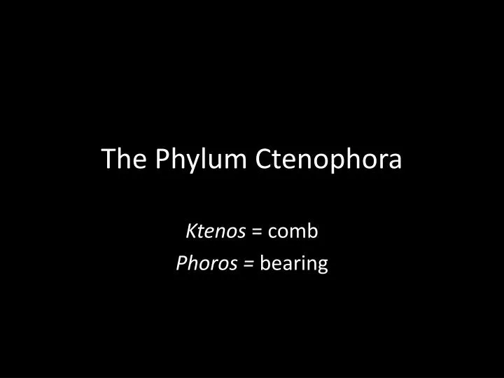the phylum ctenophora