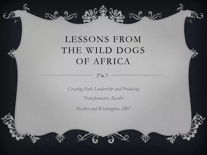 lessons from the wild dogs of africa