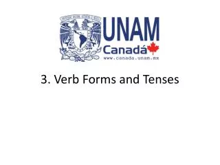 3. Verb Forms and Tenses