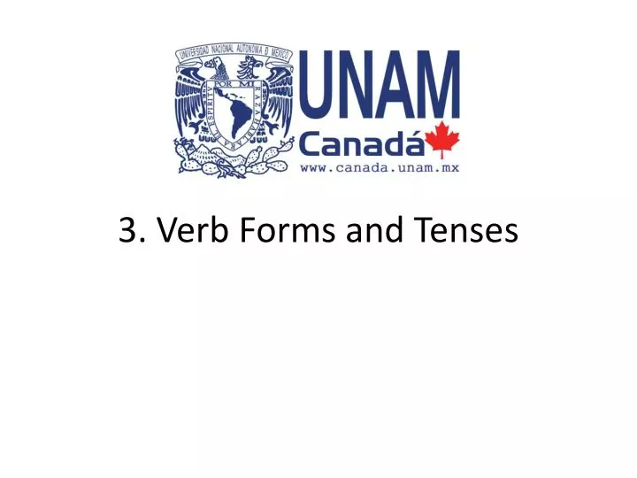 3 verb forms and tenses