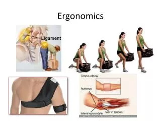 ergonomics
