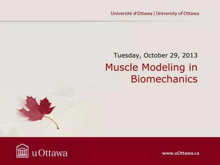 muscle modeling in biomechanics