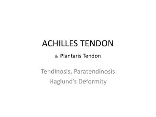 ACHILLES TENDON &amp; Plantaris Tendon