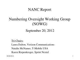 NANC Report Numbering Oversight Working Group (NOWG)