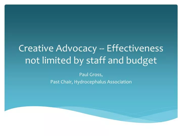 creative advocacy effectiveness not limited by staff and budget