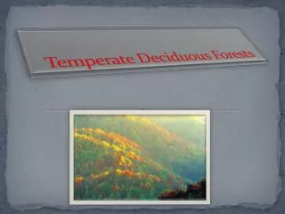 Temperate Deciduous Forests