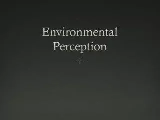 Environmental Perception