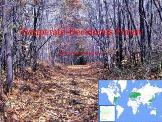 Temperate-Deciduous Forest