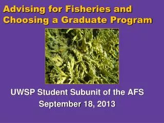 Advising for Fisheries and Choosing a Graduate Program