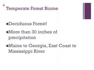 Temperate Forest Biome