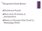 Temperate Forest Biome - slide 1