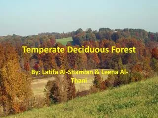 Temperate Deciduous F orest