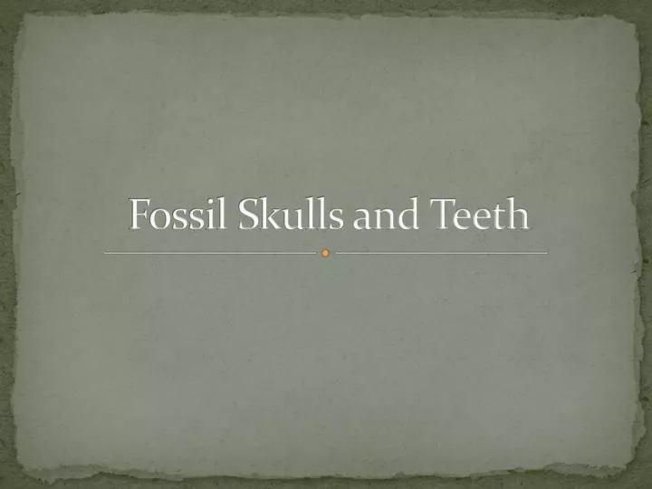 fossil skulls and teeth