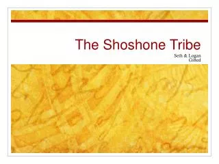 The Shoshone Tribe