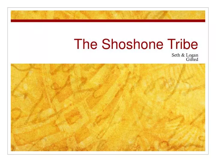 the shoshone tribe