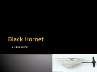 Black Hornet