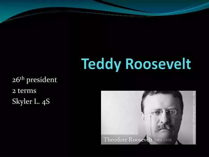 teddy roosevelt