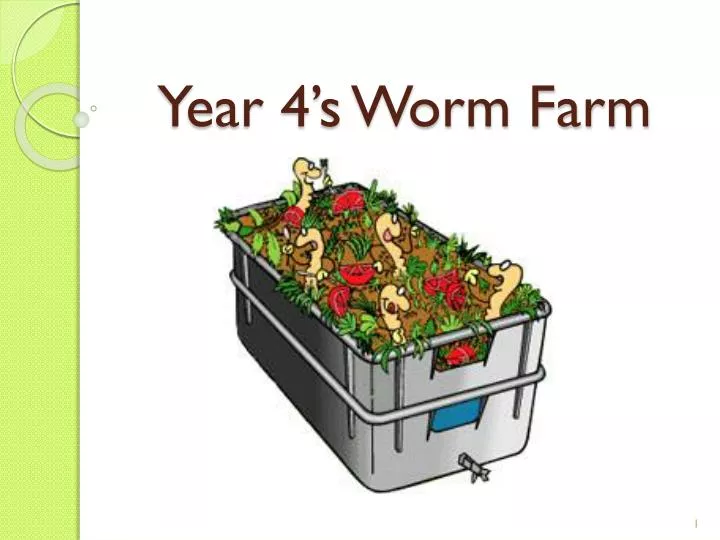 year 4 s worm farm