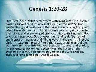 genesis 1 20 28