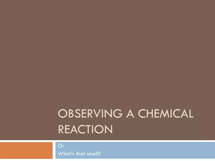 observing a chemical reaction