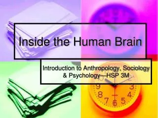 Inside the Human Brain