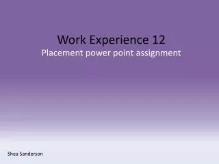 work experience 12