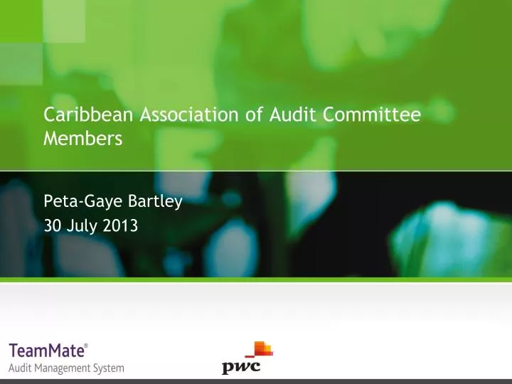 caribbean association of audit committee members