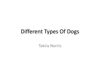 Different Types Of Dogs