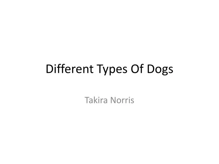 different types of dogs