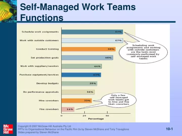 self managed work teams functions
