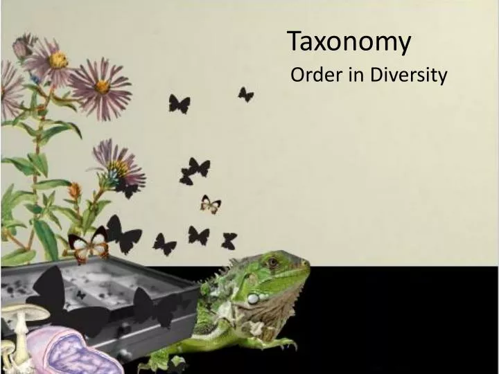 taxonomy