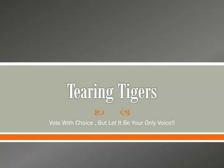 tearing tigers