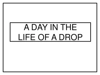 A DAY IN THE LIFE OF A DROP