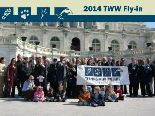 2014 TWW Fly-in