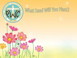 What Seed Will You Plant?