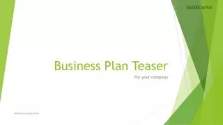 Business Plan Teaser