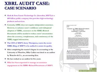 XBRL AUDIT CASE: CASE SCENARIO
