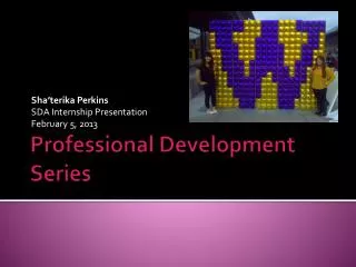 Professional Development Series