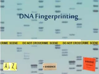 DNA Fingerprinting