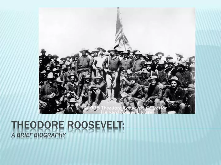 theodore roosevelt a brief biography