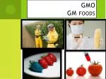 GMO GM foods - slide 1