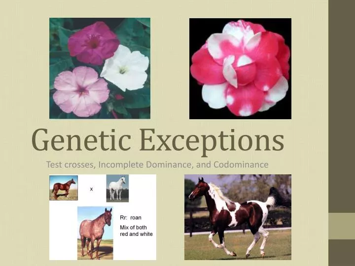 genetic exceptions