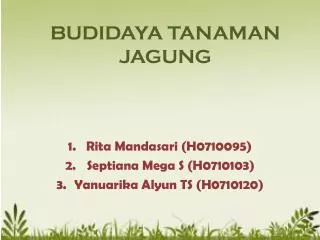 PPT - BUDIDAYA TANAMAN HIAS PowerPoint Presentation, Free Download - ID ...