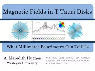 Magnetic Fields in T Tauri Disks